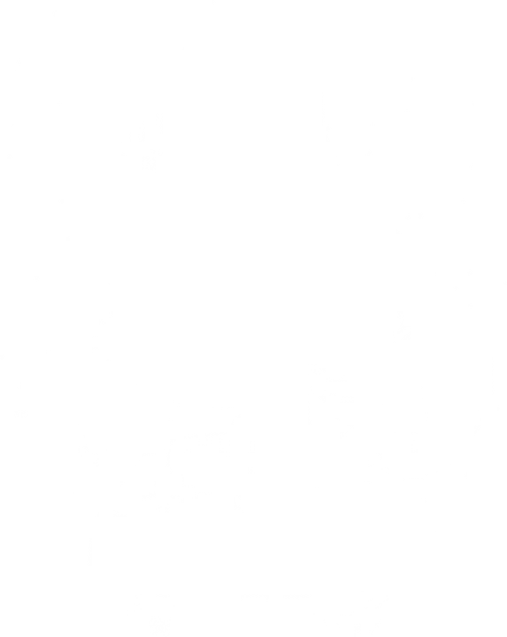 Santa Claus Holding Gifts DTF Transfer