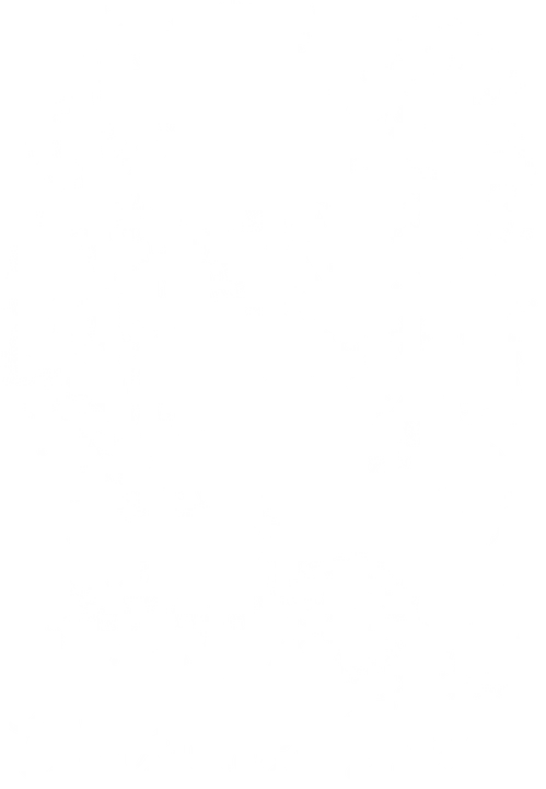 Winter Snowflake DTF Transfer