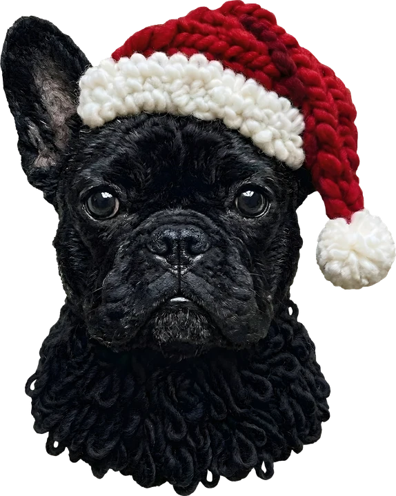 Black French Bulldog in Santa Hat DTF Transfer