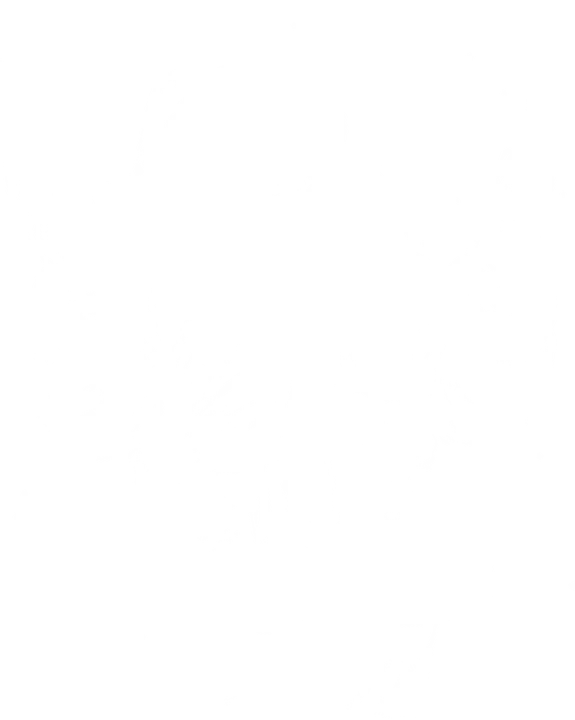 Joyful Santa with Raised Hands DTF Transfer