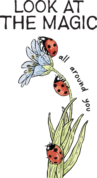 Look at the Magic Ladybugs DTF Transfer