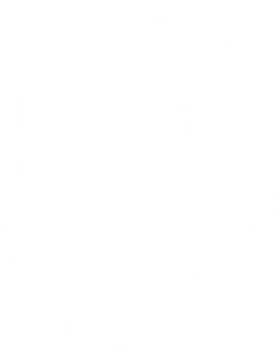 Blank Christmas Winter DTF Transfer
