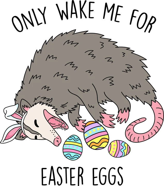 Sleeping Opossum with Easter Eggs DTF Transfer