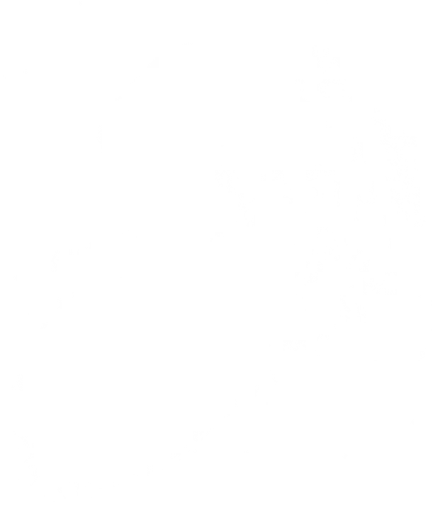 Classic Santa Claus DTF Transfer