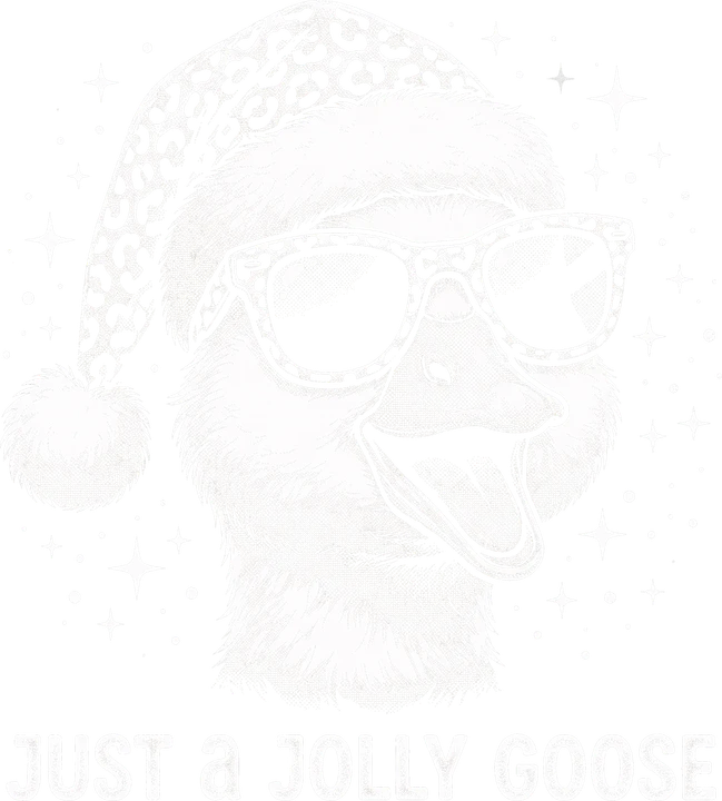 Pájaro alegre con gorro de Papá Noel — Transfer DTF