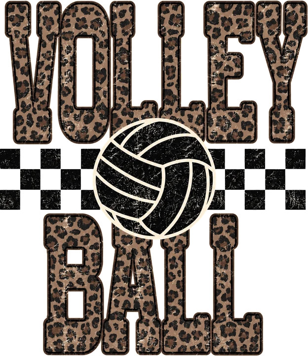 Volleyball Leopard Print DTF Transfer