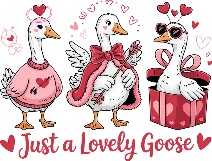 Three Lovely birds DTF Transfer