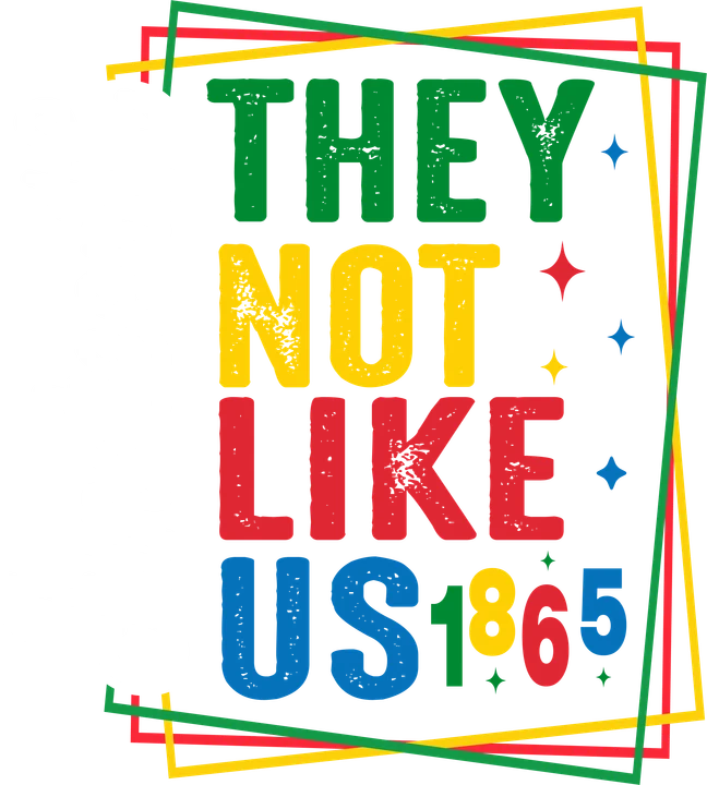 They Not Like Us 1865 DTF Transfer