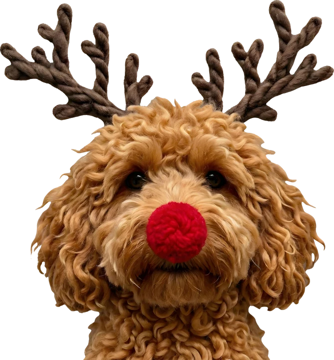 Reindeer Dog with Red Nose DTF Transfer
