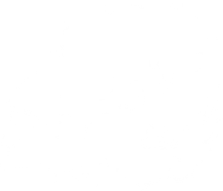Winter Snowflake DTF Transfer