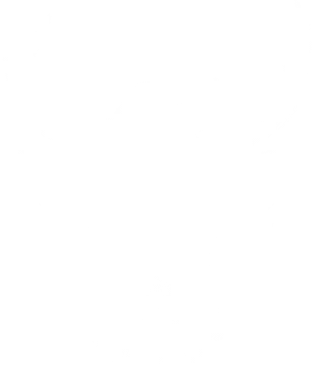 Deer in Santa Hat DTF Transfer