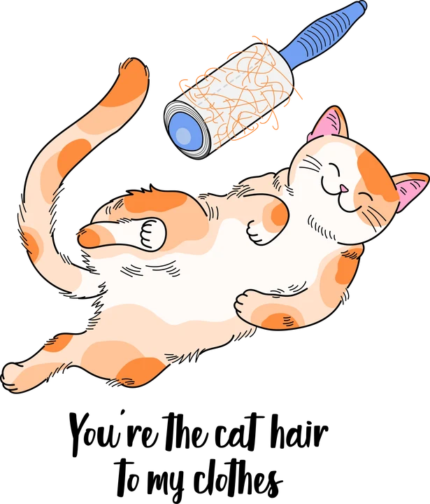 Cat Hair on Clothes DTF Transfer