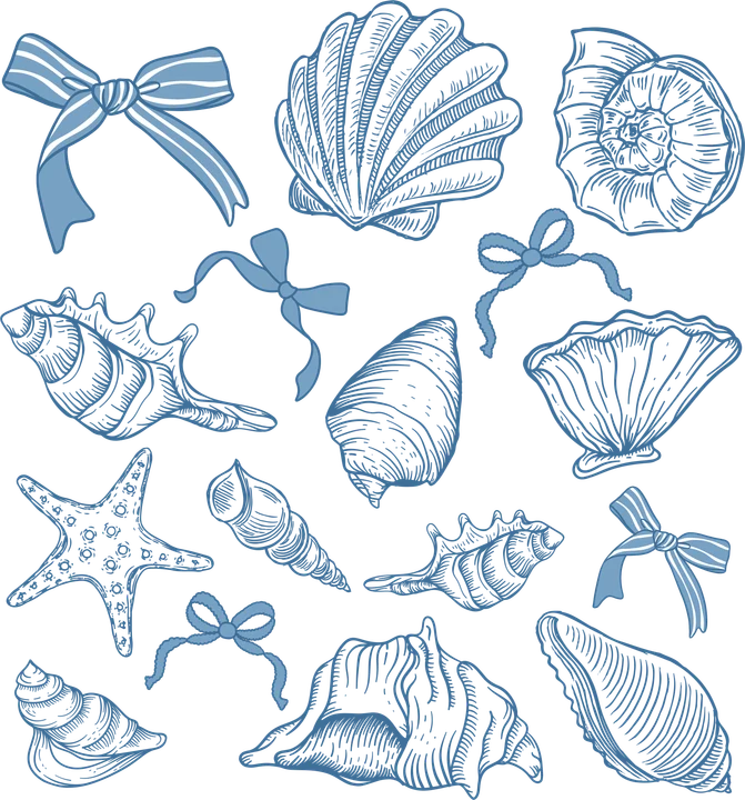 Seashells and Bowls DTF Transfer