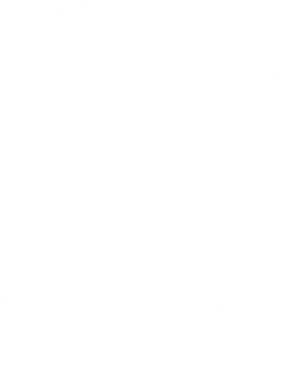 Blank Christmas Winter DTF Transfer