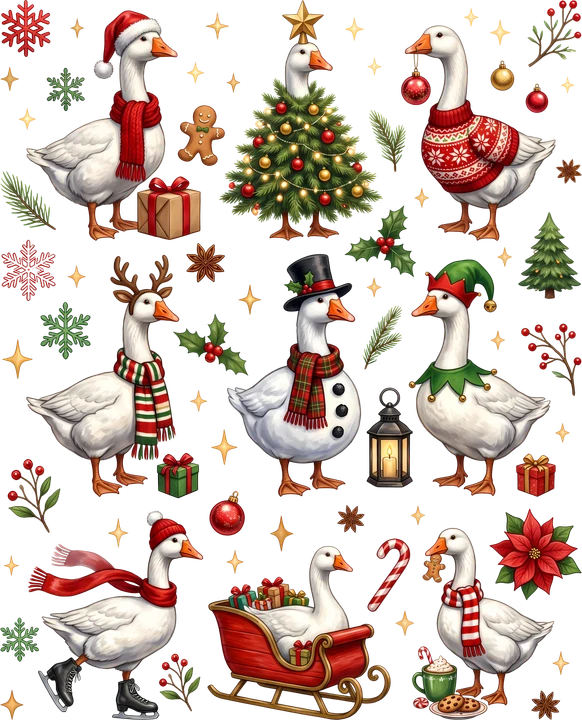 Christmas birds in Festive Attire DTF Transfer