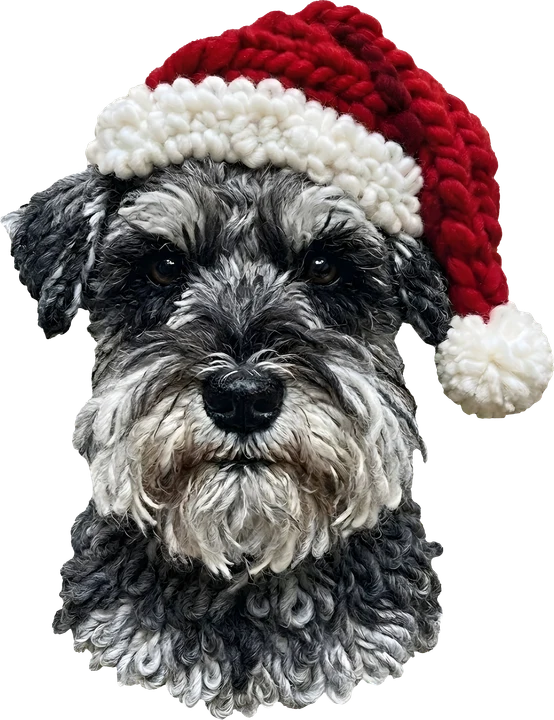 Schnauzer in Crochet Santa Hat DTF Transfer