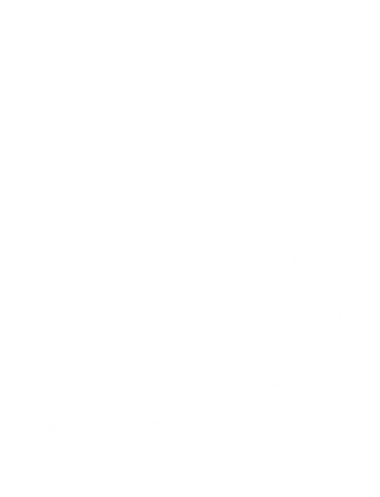 Snowy Christmas Tree DTF Transfer