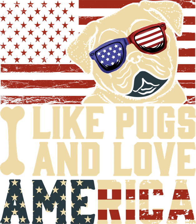 Pug with American Flag Sunglasses DTF Transfer