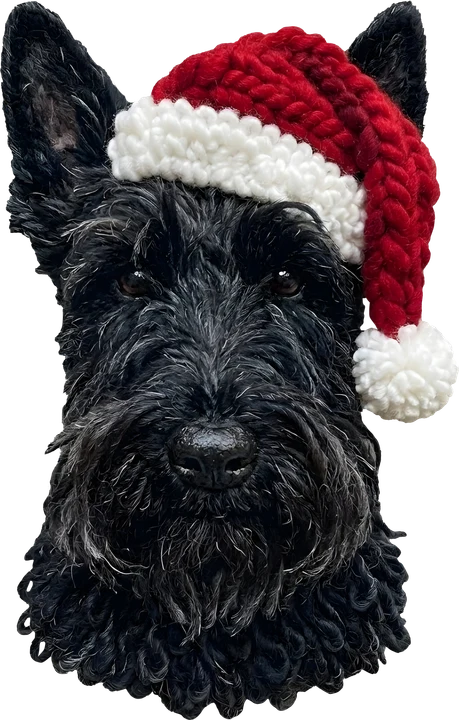 Dog in Santa Hat DTF Transfer