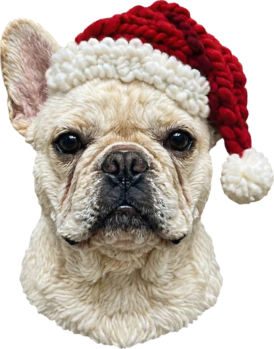 French Bulldog in Santa Hat DTF Transfer